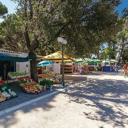 Dujmic アパート *