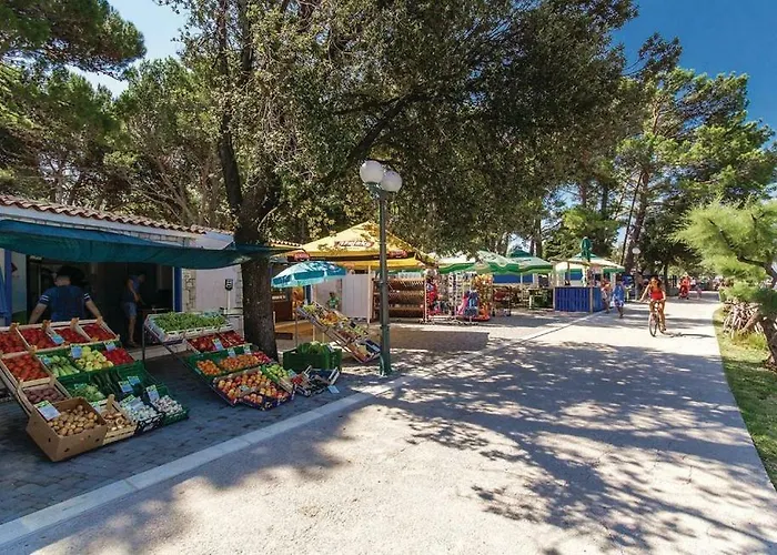 Dujmic アパート *